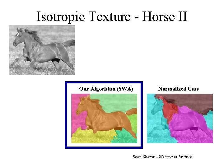 Isotropic Texture - Horse II Our Algorithm (SWA) Normalized Cuts Eitan Sharon - Weizmann