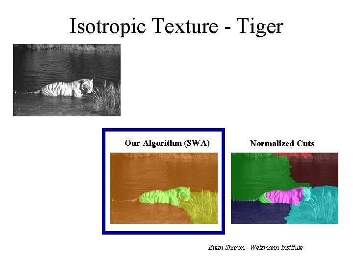 Isotropic Texture - Tiger Our Algorithm (SWA) Normalized Cuts Eitan Sharon - Weizmann Institute
