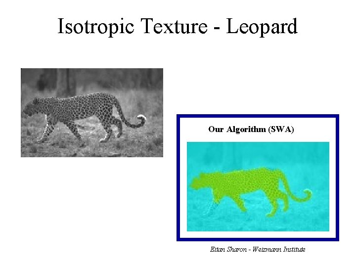 Isotropic Texture - Leopard Our Algorithm (SWA) Eitan Sharon - Weizmann Institute 