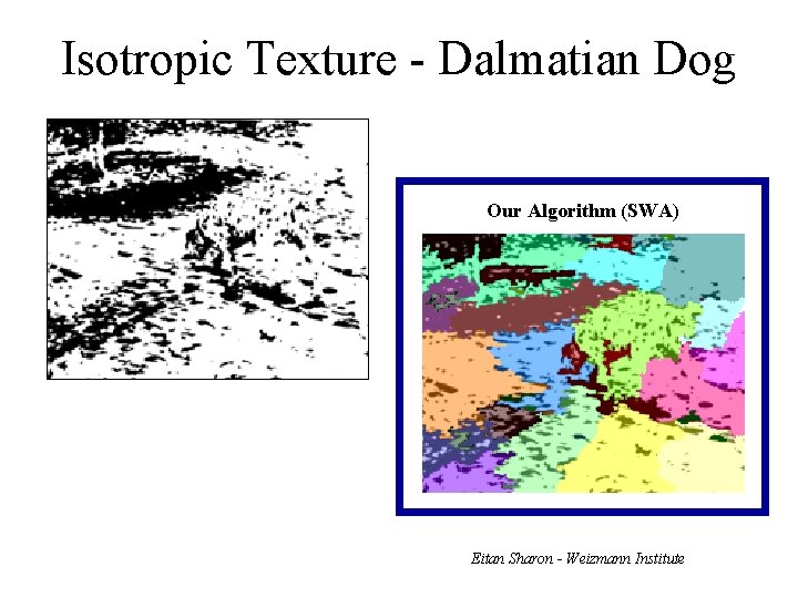 Isotropic Texture - Dalmatian Dog Our Algorithm (SWA) Eitan Sharon - Weizmann Institute 