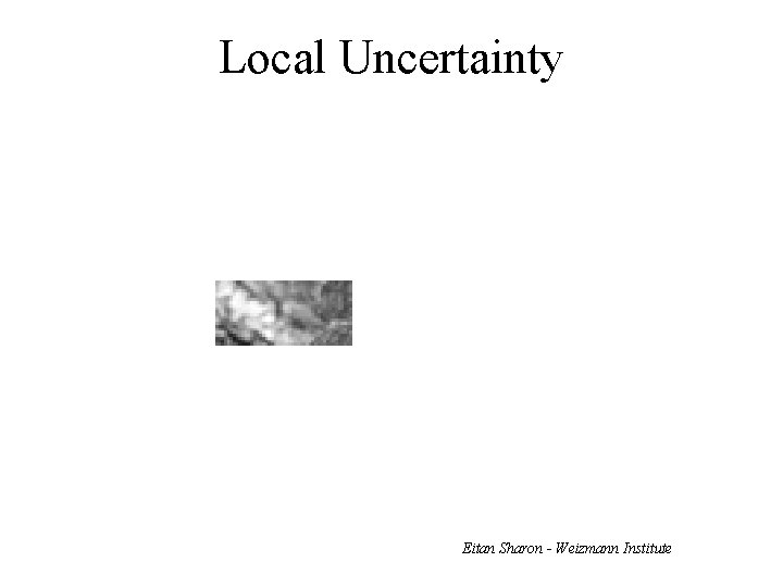 Local Uncertainty Eitan Sharon - Weizmann Institute 