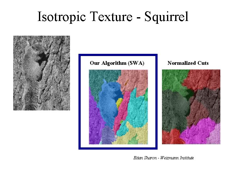 Isotropic Texture - Squirrel Our Algorithm (SWA) Normalized Cuts Eitan Sharon - Weizmann Institute