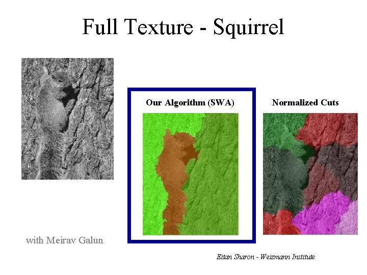 Full Texture - Squirrel Our Algorithm (SWA) Normalized Cuts with Meirav Galun Eitan Sharon