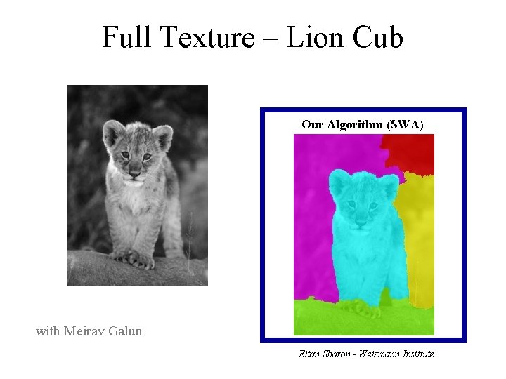 Full Texture – Lion Cub Our Algorithm (SWA) with Meirav Galun Eitan Sharon -