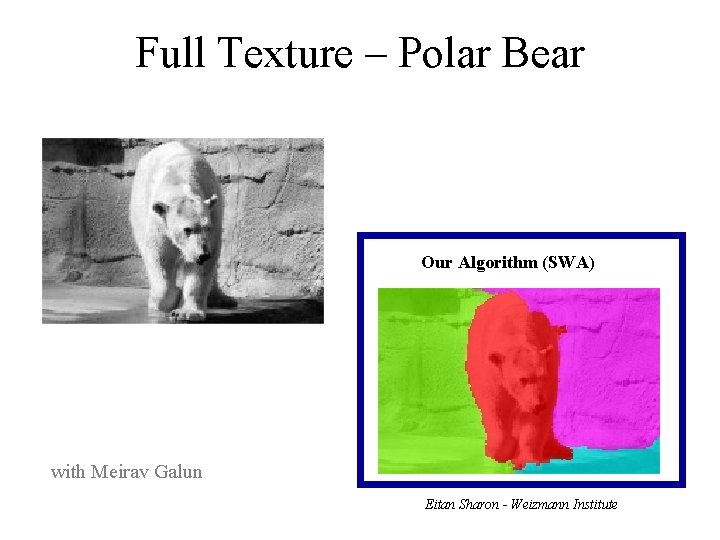 Full Texture – Polar Bear Our Algorithm (SWA) with Meirav Galun Eitan Sharon -