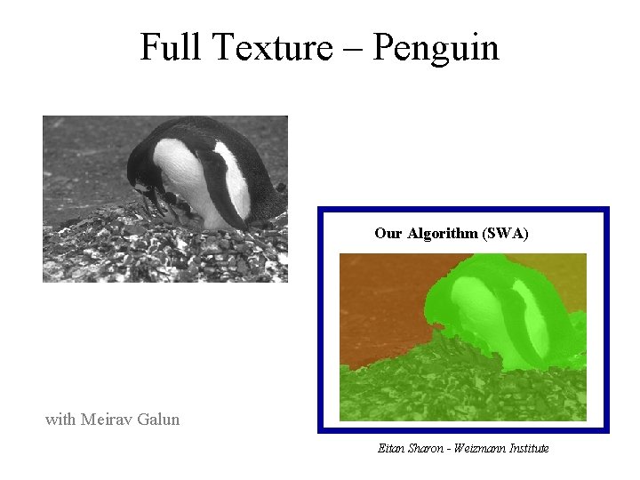 Full Texture – Penguin Our Algorithm (SWA) with Meirav Galun Eitan Sharon - Weizmann