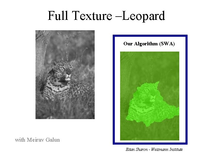 Full Texture –Leopard Our Algorithm (SWA) with Meirav Galun Eitan Sharon - Weizmann Institute