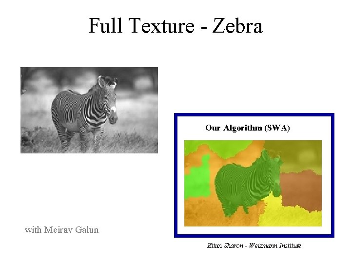 Full Texture - Zebra Our Algorithm (SWA) with Meirav Galun Eitan Sharon - Weizmann