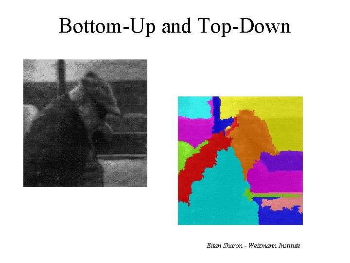 Bottom-Up and Top-Down Eitan Sharon - Weizmann Institute 