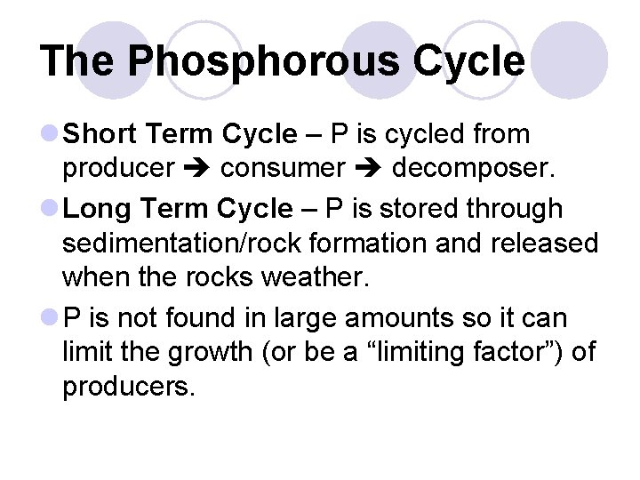 The Phosphorous Cycle l Short Term Cycle – P is cycled from producer consumer