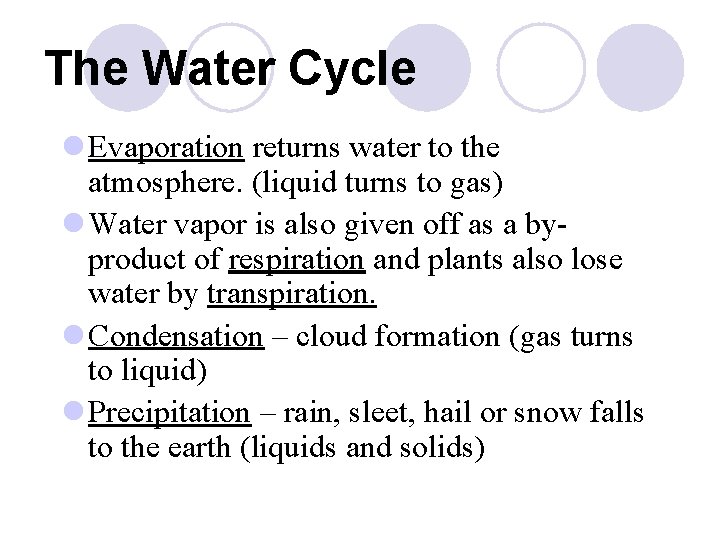 The Water Cycle l Evaporation returns water to the atmosphere. (liquid turns to gas)