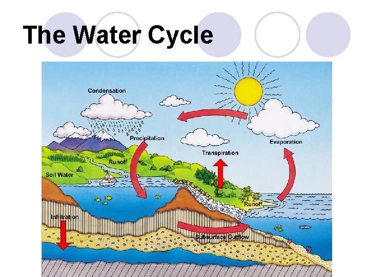 The Water Cycle 