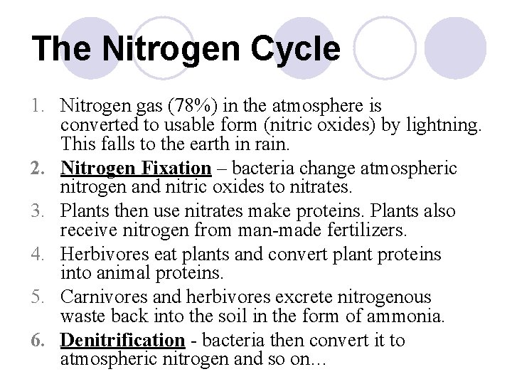 The Nitrogen Cycle 1. Nitrogen gas (78%) in the atmosphere is converted to usable