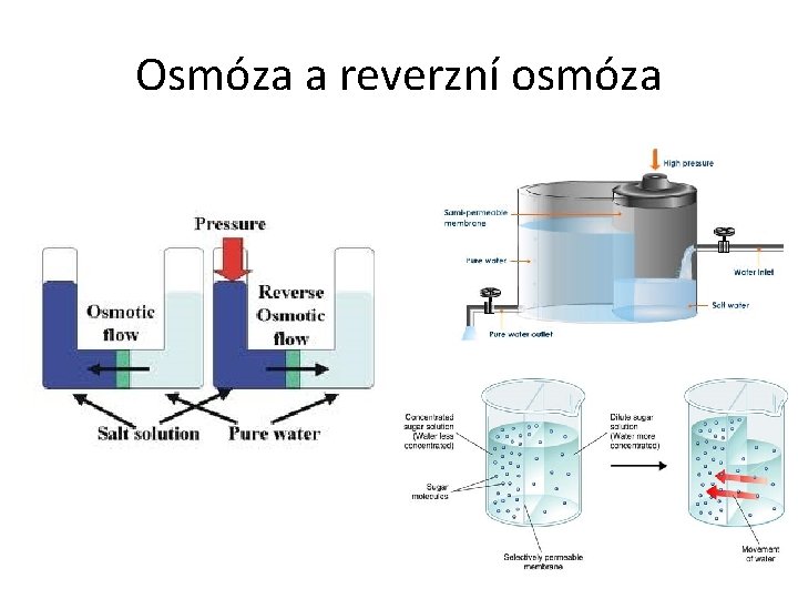 Osmóza a reverzní osmóza 