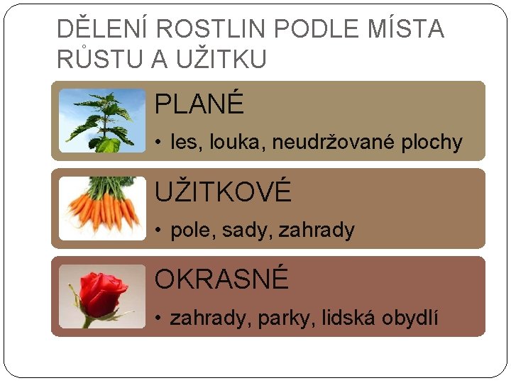 DĚLENÍ ROSTLIN PODLE MÍSTA RŮSTU A UŽITKU PLANÉ • les, louka, neudržované plochy UŽITKOVÉ