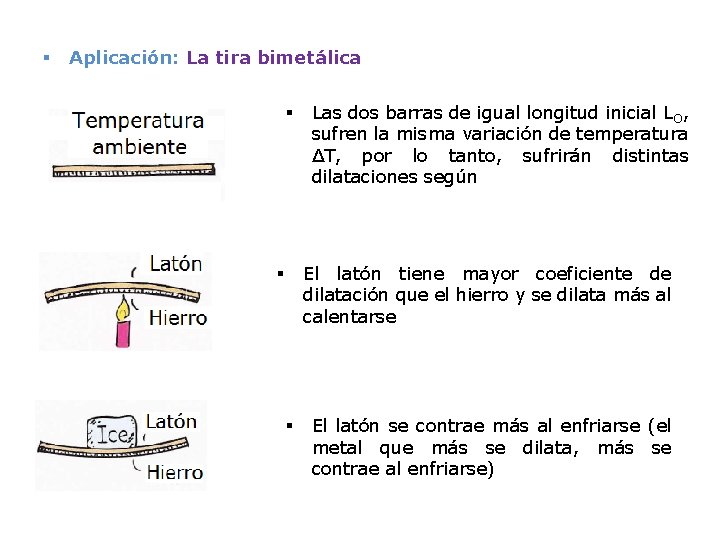 § Aplicación: La tira bimetálica § § § Las dos barras de igual longitud