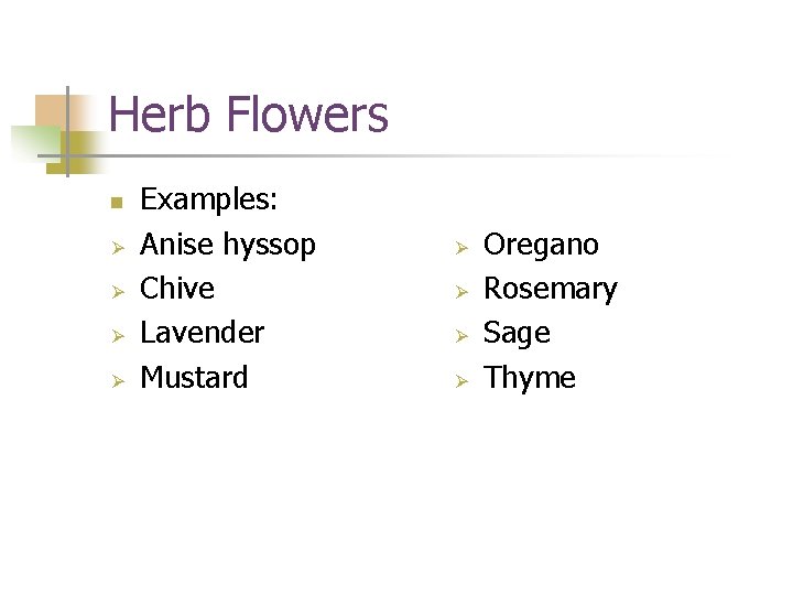 Herb Flowers n Ø Ø Examples: Anise hyssop Chive Lavender Mustard Ø Ø Oregano