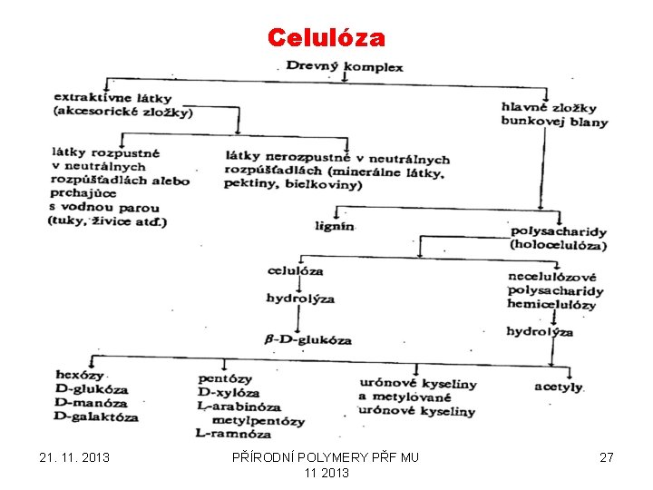 Celulóza 21. 11. 2013 PŘÍRODNÍ POLYMERY PŘF MU 11 2013 27 