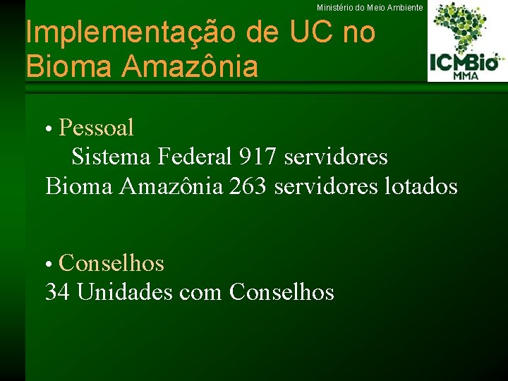 Ministério do Meio Ambiente Implementação de UC no Bioma Amazônia • Pessoal Sistema Federal