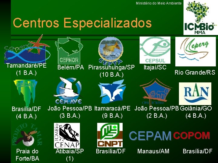 Ministério do Meio Ambiente Centros Especializados Tamandaré/PE (1 B. A. ) Brasília/DF (4 B.