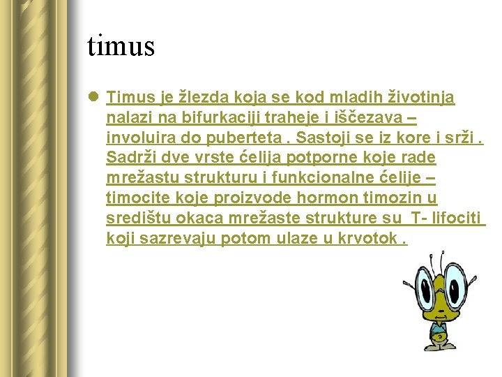 timus l Timus je žlezda koja se kod mladih životinja nalazi na bifurkaciji traheje
