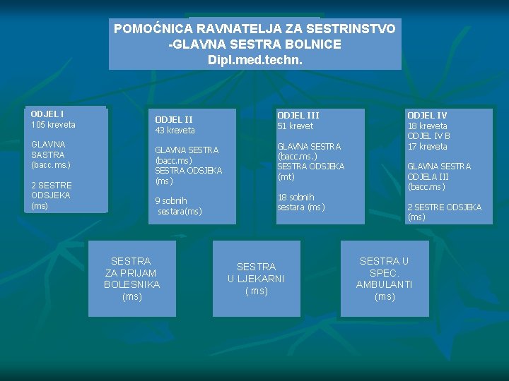 POMOĆNICA RAVNATELJA ZA SESTRINSTVO -GLAVNA SESTRA BOLNICE Dipl. med. techn. ODJEL I 105 kreveta