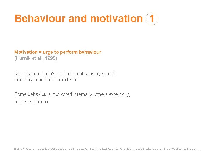 Behaviour and motivation 1 Motivation = urge to perform behaviour (Hurnik et al. ,