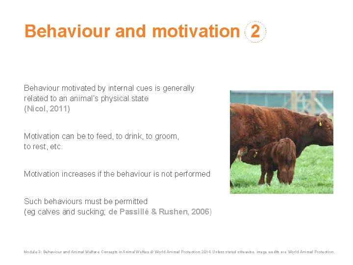 Behaviour and motivation 2 Behaviour motivated by internal cues is generally related to an