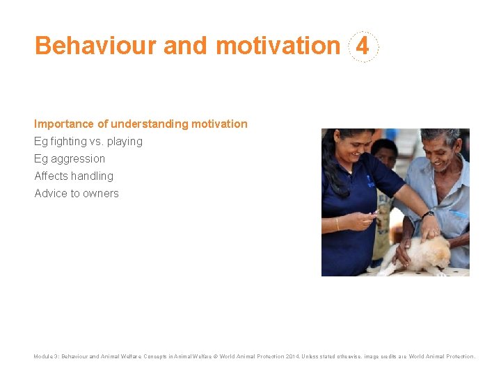 Behaviour and motivation 4 Importance of understanding motivation Eg fighting vs. playing Eg aggression