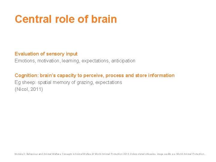 Central role of brain Evaluation of sensory input Emotions, motivation, learning, expectations, anticipation Cognition: