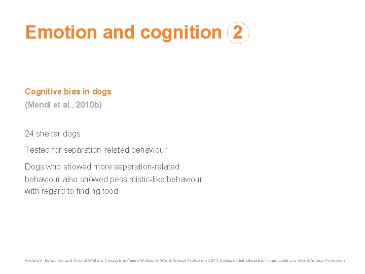 Emotion and cognition 2 Cognitive bias in dogs (Mendl et al. , 2010 b)