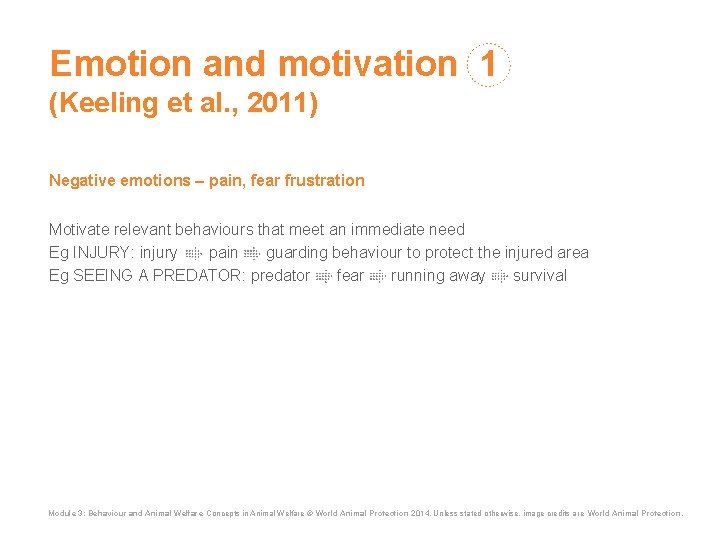 Emotion and motivation 1 (Keeling et al. , 2011) Negative emotions pain, fear frustration