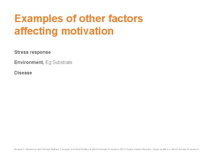 Examples of other factors affecting motivation Stress response Environment, Eg Substrate Disease Module 3: