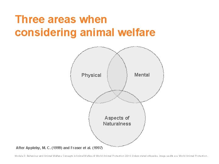 Three areas when considering animal welfare Mental Physical Aspects of Naturalness After Appleby, M.