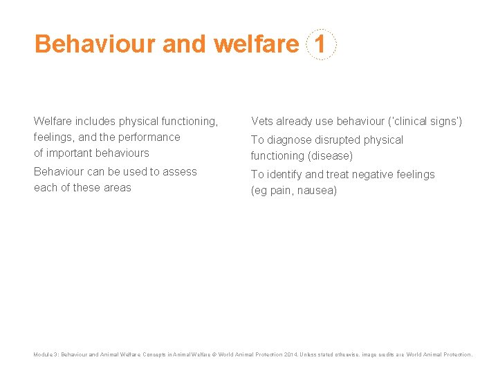 Behaviour and welfare 1 Welfare includes physical functioning, feelings, and the performance of important