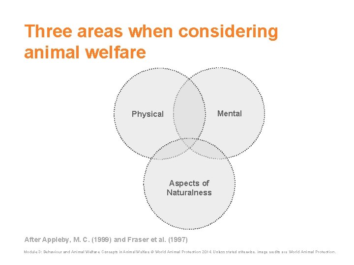 Three areas when considering animal welfare Mental Physical Aspects of Naturalness After Appleby, M.