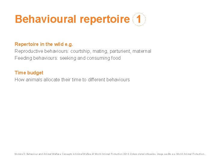 Behavioural repertoire 1 Repertoire in the wild e. g. Reproductive behaviours: courtship, mating, parturient,