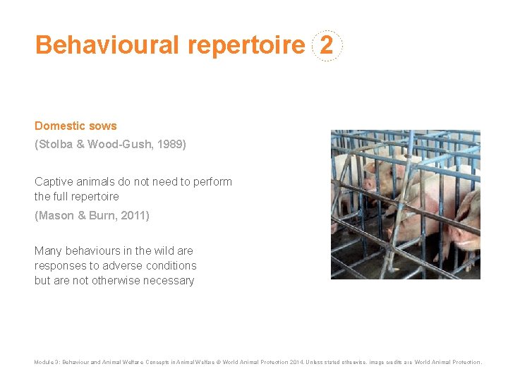 Behavioural repertoire 2 Domestic sows (Stolba & Wood-Gush, 1989) Captive animals do not need