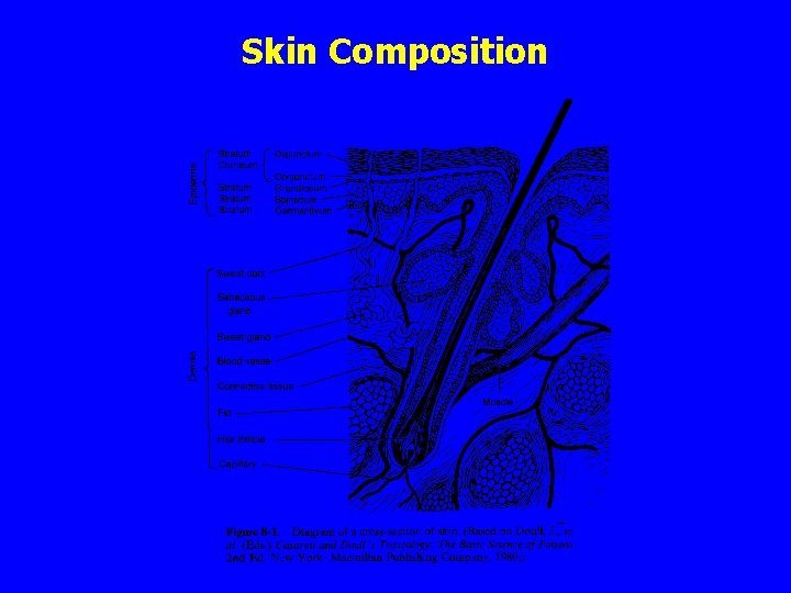 Skin Composition 