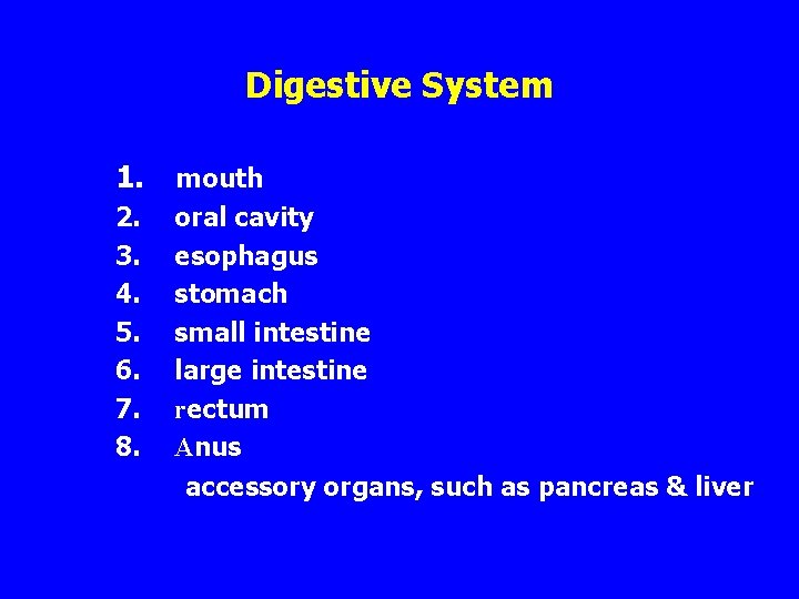 Digestive System 1. mouth 2. oral cavity 3. esophagus 4. stomach 5. small intestine
