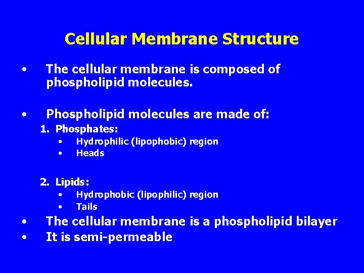 Cellular Membrane Structure • The cellular membrane is composed of phospholipid molecules. • Phospholipid
