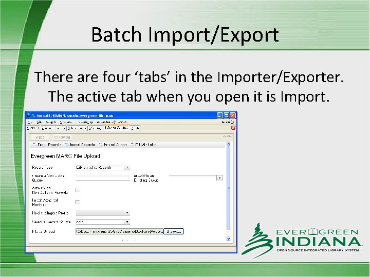 Batch Import/Export There are four ‘tabs’ in the Importer/Exporter. The active tab when you