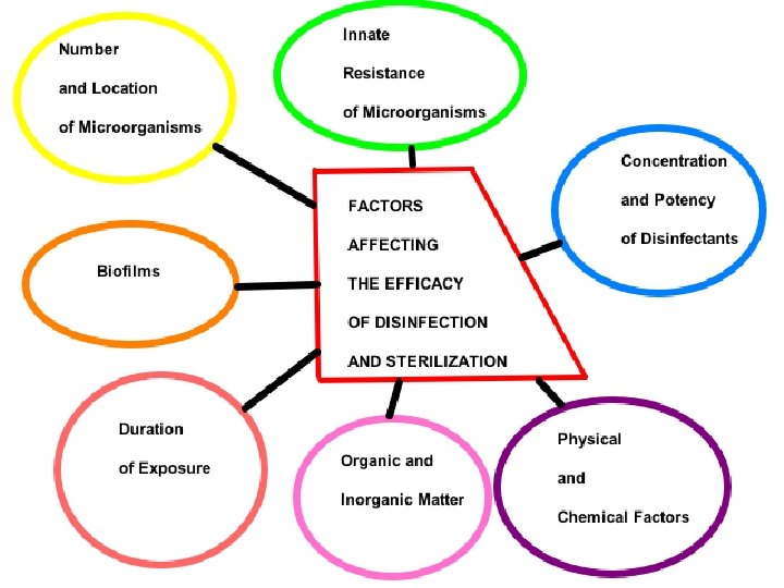 Copyright © 2004 Pearson Education, Inc. , publishing as Benjamin Cummings 