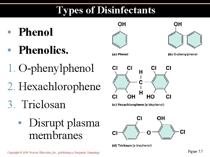Types of Disinfectants • Phenolics. 1. O-phenylphenol 2. Hexachlorophene 3. Triclosan • Disrupt plasma