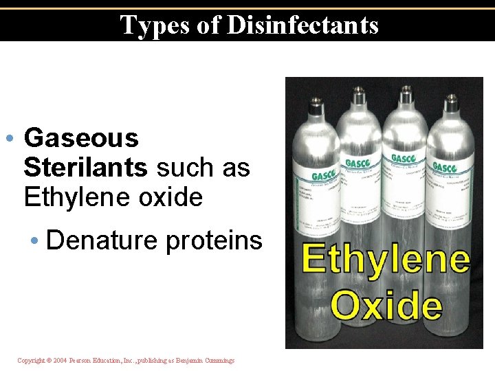 Types of Disinfectants • Gaseous Sterilants such as Ethylene oxide • Denature proteins Copyright