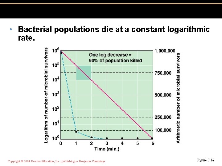  • Bacterial populations die at a constant logarithmic rate. Copyright © 2004 Pearson