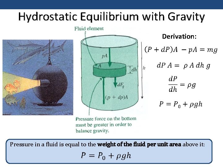 Hydrostatic Equilibrium with Gravity Derivation: Pressure in a fluid is equal to the weight