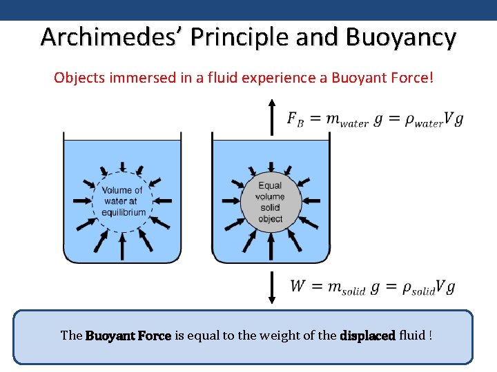 Archimedes’ Principle and Buoyancy Objects immersed in a fluid experience a Buoyant Force! The