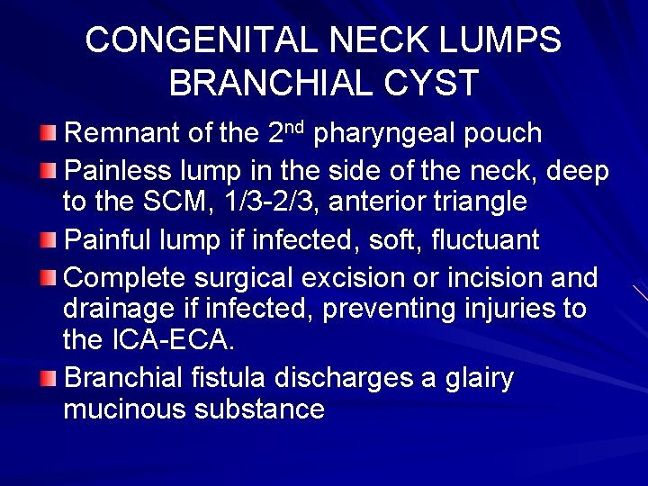 CONGENITAL NECK LUMPS BRANCHIAL CYST Remnant of the 2 nd pharyngeal pouch Painless lump