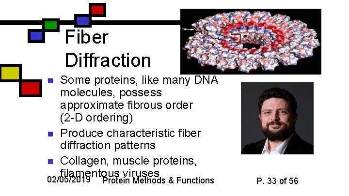 Fiber Diffraction Some proteins, like many DNA molecules, possess approximate fibrous order (2 -D
